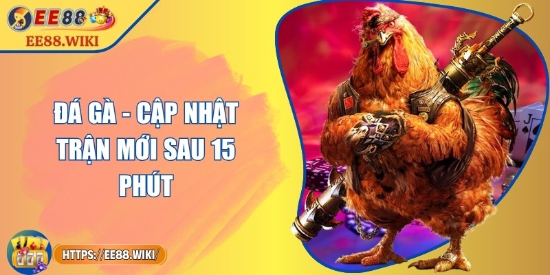 Đá gà - Cập nhật trận mới sau 15 phút